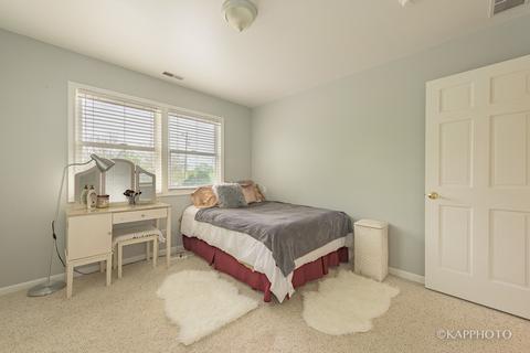 540 Aster Ln, Hoffman Estates, IL 60169 photo 17