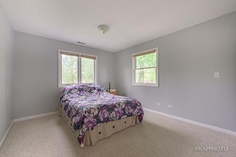 540 Aster Ln, Hoffman Estates, IL 60169 photo 16