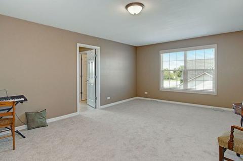 16317 S Arbor Dr, Plainfield, IL 60586 photo 21