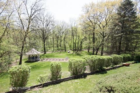 33 Strauss Ln, Olympia Fields, IL 60461 photo 20