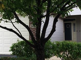 2463 Stonegate Rd, Algonquin, IL 60102 photo 1