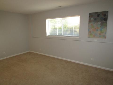 269 Jackson St, Gilberts, IL 60136 photo 17