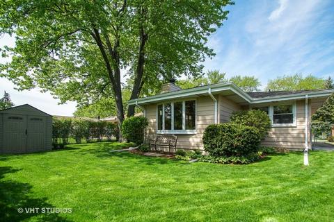 865 Madelyn Dr, Des Plaines, IL 60016 photo 12