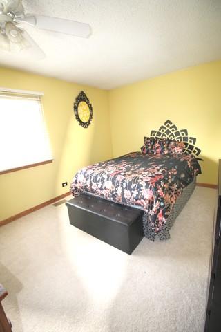 1815 Howe Ln, Hanover Park, IL 60133 photo 10