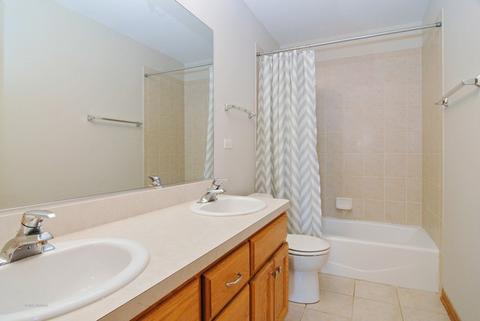 24611 Tufton St, Plainfield, IL 60585 photo 21