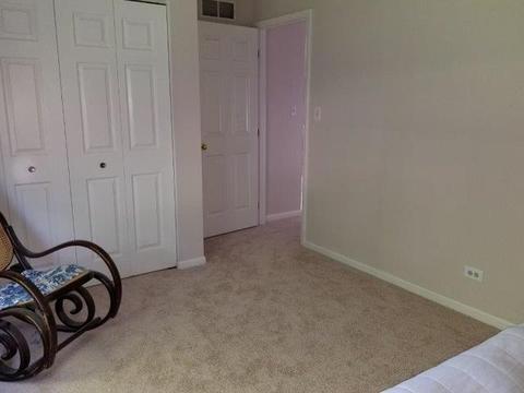 676 Foster Ave, Bartlett, IL 60103 photo 21