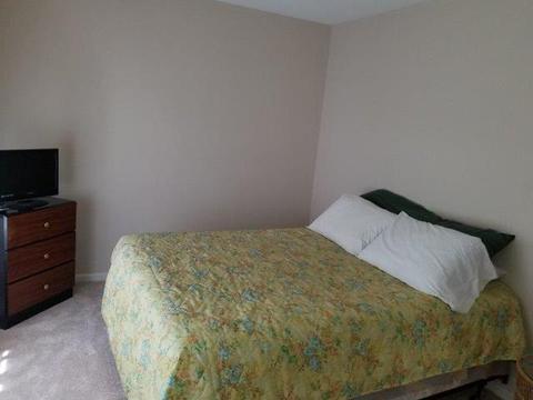 676 Foster Ave, Bartlett, IL 60103 photo 18