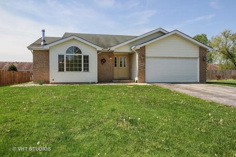 5145 Ribbon Ct, Monee, IL 60449 photo 1