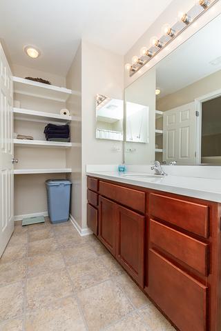 167 Durango Dr, Gilberts, IL 60136 photo 19