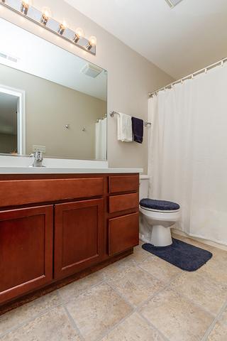 167 Durango Dr, Gilberts, IL 60136 photo 18