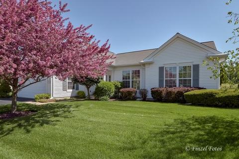 11330 Nelson Dr, Huntley, IL 60142 photo 1