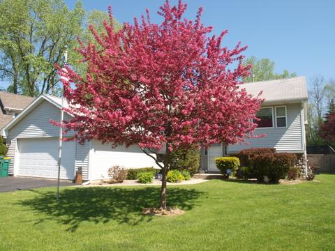 164 Cherry Ln, Ingleside, IL 60041 photo 2