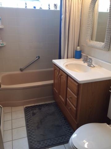 17519 Lorenz Ave, Lansing, IL 60438 photo 10