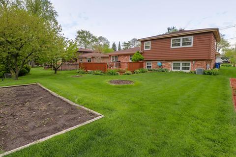 9117 Delphia Ave, Des Plaines, IL 60016 photo 18