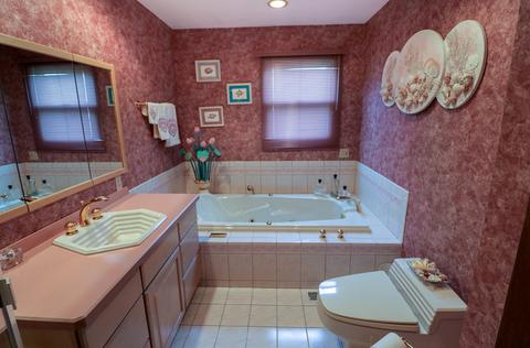 9117 Delphia Ave, Des Plaines, IL 60016 photo 10