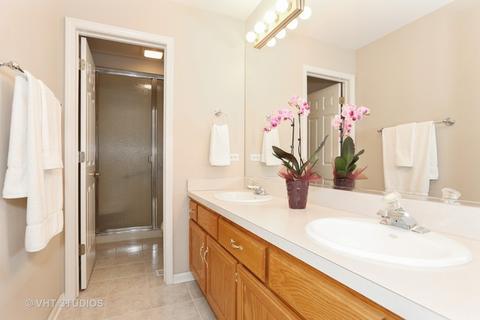 15949 Renwick Park Dr, Plainfield, IL 60586 photo 10