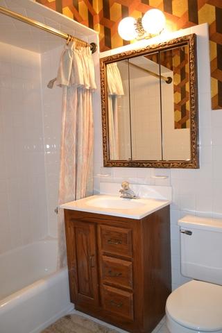 185 Forest Park Ln, Hoffman Estates, IL 60169 photo 5