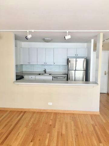 33 E Cedar St #14G, Chicago, IL 60611 photo 2