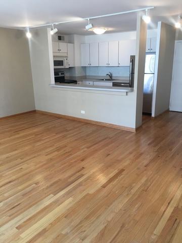 33 E Cedar St #14G, Chicago, IL 60611 photo 5