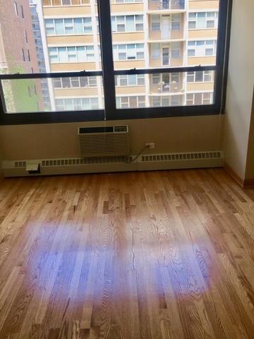 33 E Cedar St #14G, Chicago, IL 60611 photo 6