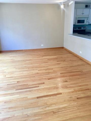 33 E Cedar St #14G, Chicago, IL 60611 photo 4