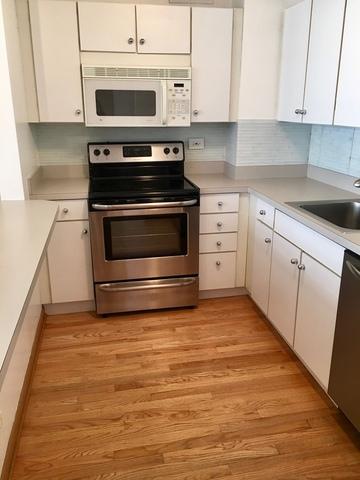 33 E Cedar St #14G, Chicago, IL 60611 photo 3