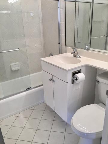33 E Cedar St #14G, Chicago, IL 60611 photo 7