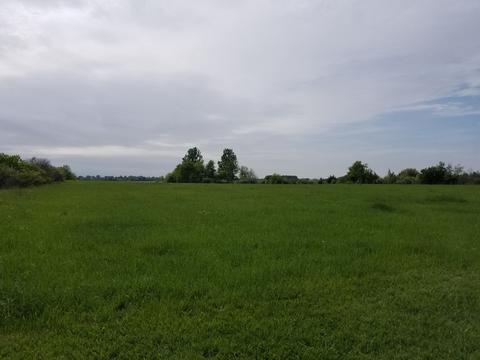 26960 S 88th Ave, Monee, IL 60449 photo 28