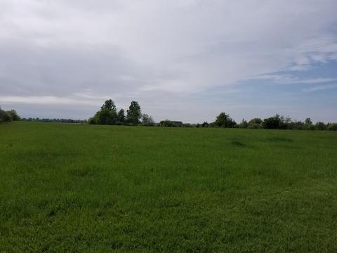26960 S 88th Ave, Monee, IL 60449 photo 31