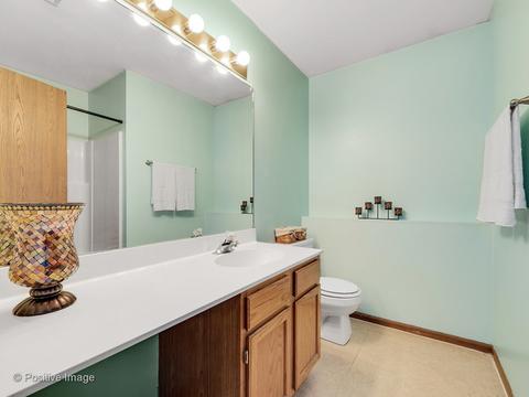 22845 Judith Dr, Plainfield, IL 60586 photo 17