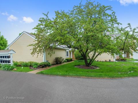 162 E Springbrook Dr, Bloomingdale, IL 60108 photo 21