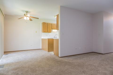 690 Greenfield Ct #B1, Bartlett, IL 60103 photo 3