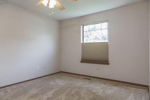 690 Greenfield Ct #B1, Bartlett, IL 60103 photo 9