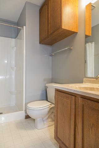 690 Greenfield Ct #B1, Bartlett, IL 60103 photo 12