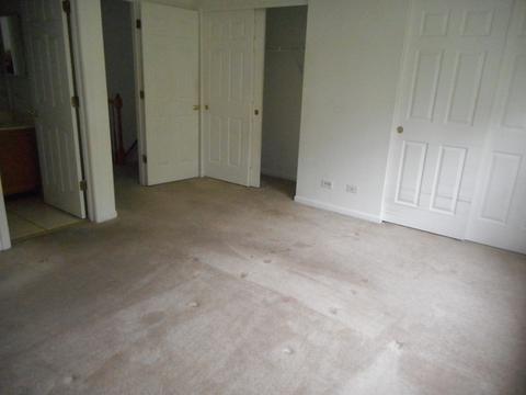 1399 Grandview Ct, Algonquin, IL 60102 photo 13