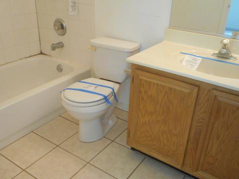 1399 Grandview Ct, Algonquin, IL 60102 photo 11
