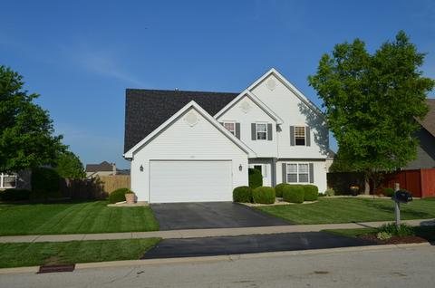 1310 Bluejay Ln, Plainfield, IL 60586 photo 1