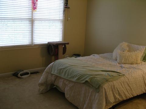 610 Clover Dr, Algonquin, IL 60102 photo 23
