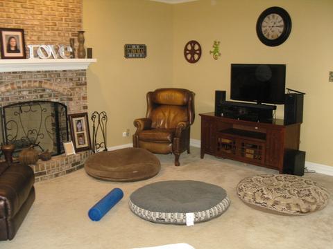 610 Clover Dr, Algonquin, IL 60102 photo 11