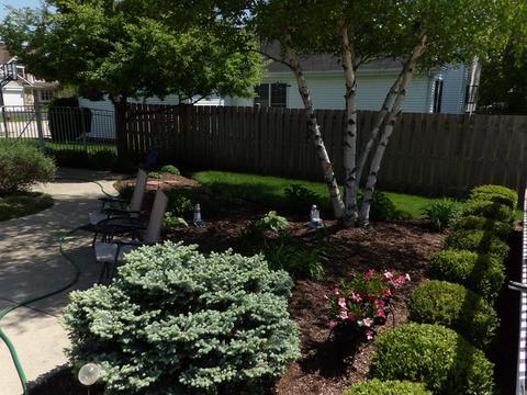 1931 Peach Tree Ln, Algonquin, IL 60102 photo 35