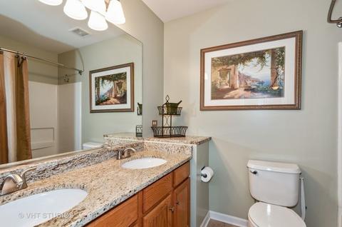 977 Vineyard Ln, Aurora, IL 60502 photo 13