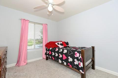 21423 W Georgetown Dr, Plainfield, IL 60544 photo 9