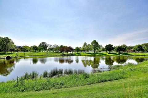 876 Alfini Dr, Des Plaines, IL 60016 photo 34