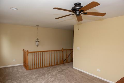 14700 Independence Dr, Plainfield, IL 60544 photo 21