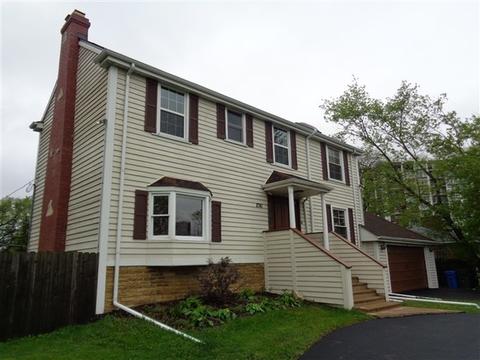 8741 Elm Dr, Des Plaines, IL 60016 photo 38