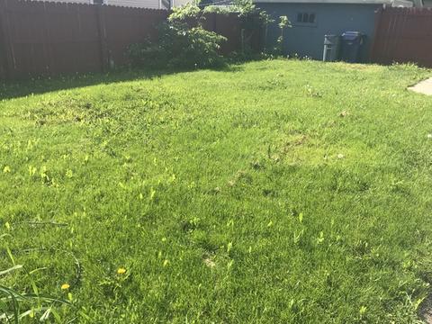500 Bangs St, Aurora, IL 60505 photo 29