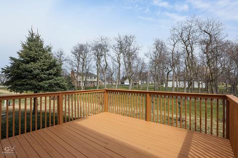 6708 Haley Ct, Plainfield, IL 60586 photo 22