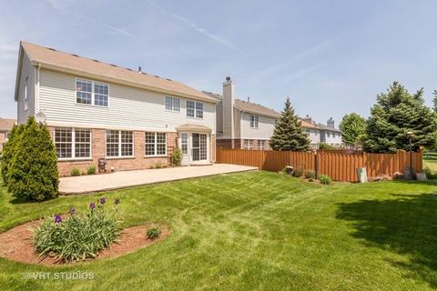 769 Meadow Dr, Des Plaines, IL 60016 photo 22