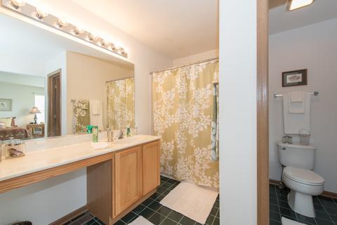2818 Falling Waters Dr, Lindenhurst, IL 60046 photo 15