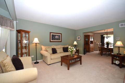 13347 Blackstone Ln, Plainfield, IL 60585 photo 3
